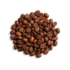 Tanamera Espresso Blend Whole Bean Indonesia Coffee Medium Roast 250 gram/ 8.8oz