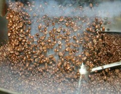 100% JAMAICAN BLUE MOUNTAIN COFFEE BEANS PEABERRY MEDIUM ROASTED 2 TO 12 POUNDS