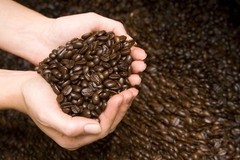 PANAMA GEISHA MEDIUM COFFEE BEANS ROASTED 2 POUNDS
