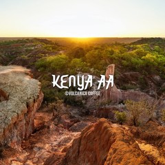 Kenya AA Coffee Whole Bean Pure Kosher Fresh Roasted, 16 Ounce 1 PCS Bag