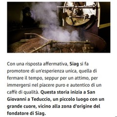 SIAG Coffee Beans ITALIAN COFFEE Line LAPILLI Blend 1 kg Bags Espresso Napoli