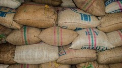 100% Kenya AB (Washed) Green Beans (1 Lb.)