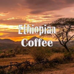 Ethiopian Coffee, Yirgacheffe Region, Usda Organic, Whole Bean, Kosher