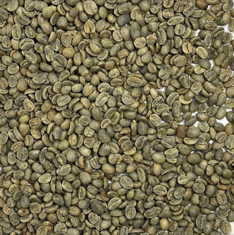 Green Coffee Beans / Mexican Chiapas Turquesa / 10 Pound / UNROASTED