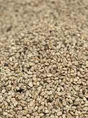 🌱 100% Colombian Single-Origin Specialty Roast ☕️ 1 Pound Whole Or Ground