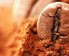 COSTA RICAN COFFEE BEANS DOTA TARRAZU MEDIUM ROASTED 5 BAGS 1 POUND EACH