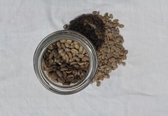 6 lb, le Cafe de Bondowoso – Arabica Coffee