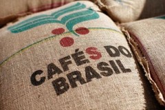 2 lb 5 lb 10 lb BRAZIL BRASIL FRESH ROASTED SINGLE ORIGIN COFFEE BEANS – ARABICA