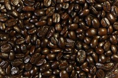 FRENCH ROAST 5x 1 lb Gourmet Whole Bean Dark Roast