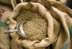 2 POUNDS green coffee beans – your choice of beans – MANY to choose from