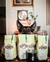 11 Ounce Ground, Swiss Water Process Decaf Coffee, Sunday Drive Decaffeinated…