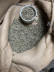 2, 5, 10 LB EL SALVADOR FRESH ROASTED COFFEE WHOLE BEAN, GROUND – ARABICA