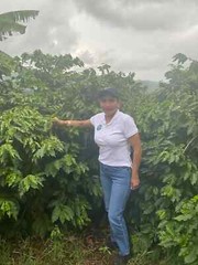 COLOMBIAN SUPREMO COFFEE BEANS ROASTED MEDIUM 5 POUNDS