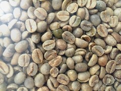3 lbs Green Coffee – Brazil green beans – specialty grade green beans
