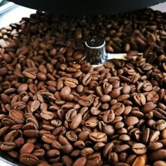 Costa Rican la Candelaria Geisha Coffee Beans Roasted To Order 8oz Muth R. Haus