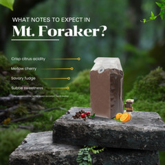 Mt. Foraker Coffee Single Origin (Medium-Light Roast)