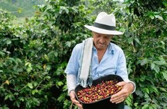 Colombia Supremo Fresh Roasted Arabica Coffee Beans – 2, 5, and 10 lb Sizes