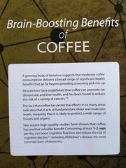 Hawaiian Certified 100 % pure Kona coffee 1 lbs ROASTED whole bean