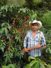 COSTA RICAN TARRAZU COFFEE BEANS MEDIUM ROASTED 5 POUNDS