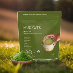 MUDWTR Organic Matcha Mushroom Coffee Alternative – 2.5oz