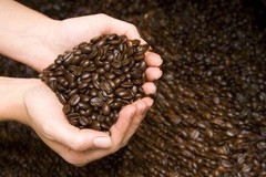WORLD TOUR FRESH ROASTED COFFEE SAMPLER #2 MEDIUM ROASTED 6 LBS IN ! POUND BAGS