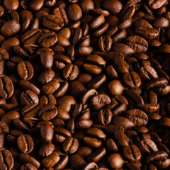 100% JAMAICAN BLUE MOUNTAIN COFFEE BEANS PEABERRY MEDIUM ROASTED 2 TO 12 POUNDS