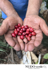 MEXICAN PUEBLA (UNROASTED GREEN BOURBON RED COFFEE BEANS) – Order 1 to 20 lbs