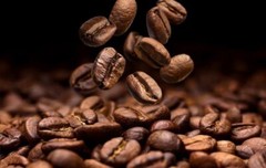 Brazilian Yellow Bourbon Coffee Beans Medium Roasted Daily 5 Pounds 1 Pound Bags