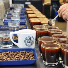 11 Ounce Ground, Swiss Water Process Decaf Coffee, Sunday Drive Decaffeinated, M