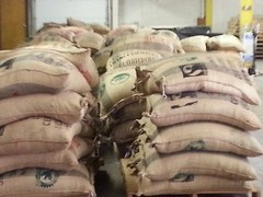 Lavanta Coffee Guatemala Antigua SHB Arabica Green or Roasted Coffee