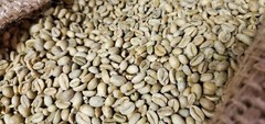 5 LBS ETHIOPIAN ETHIOPIA LEKEMPTI GREEN UNROASTED COFFEE BEANS – ARABICA