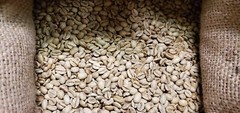 5 LB INDIA MONSOON MALABAR MONSOONED UNROASTED GREEN COFFEE BEANS – ARABICA