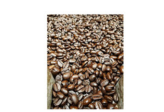Cameron’s Organic Whole Bean Coffee, Scandinavian Blend 64 oz.