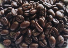 200 gram Ethiopia Yirgacheffe Worka Natural Fresh Roasted Coffee Ground Medium