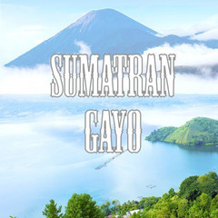 Sumatra Gayo Coffee, Whole Bean, Low Acid, Fair Trade, Fresh Roasted, Kosher, 16