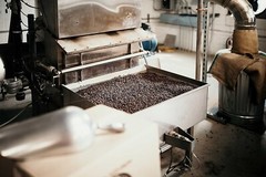 Medium/Dark Roast Panama Coffee Beans 12oz – Smooth & Balanced Flavor