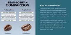 100 Percent Peaberry Jamaica Blue Mountain Unroasted Green Coffee Beans Bulk