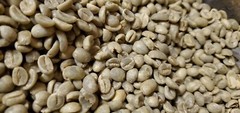 5 LB AFRICA RWANDA RWANDAN GREEN UNROASTED COFFEE BEANS FIVE POUND – ARABICA