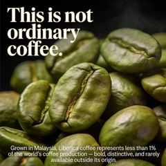 100% Rare Malaysia Liberica Coffee Beans – Unroasted – Single Origin 1kg