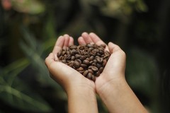 Premium French Roast Coffee – Extra Dark Freshly Roasted Beans in Small Batches