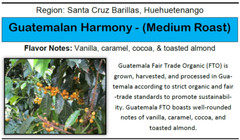 Guatemalan Harmony – (Medium Roast) 312g, 11oz Bag
