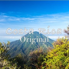 Costa Rica Coffee, Tarrazu Original, Whole Bean, Medium Roast, Fair Trade, Fr…
