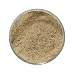 GREEN COFFEE BEAN EXTRACT POWDER 90% PURE AND NATURAL GOOD QUALITY 25000 GRAM