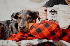 5 Pound Whole Bean Coffee, Medium Roast, Julien’s Breakfast Blend, Rainforest…