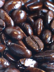 New! Franilla – French Roast with a touch of Vanilla Ground Coffee -2 lb