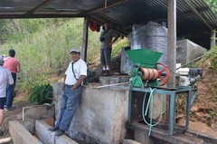 10 lbs Bolivia Microlot: Celso Mayta -Cafe Golondrina FREE SHIPPING