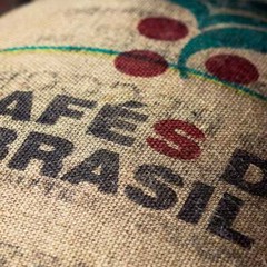 20 LBS Brazilian Santos Screen #16/17 Roasted Medium – New Crop