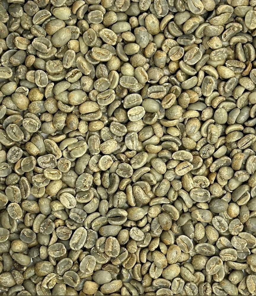 Green Coffee Beans / Honduran Montecillos / 5 Pound / UNROASTED