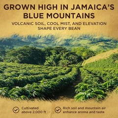 Wallenford Jamaica Blue Mountain Coffee Bean 100% 16oz