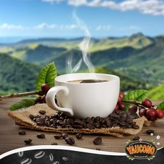 2 Pound Whole Bean Coffee Medium Roast Fresh From Puerto Rico Arabica